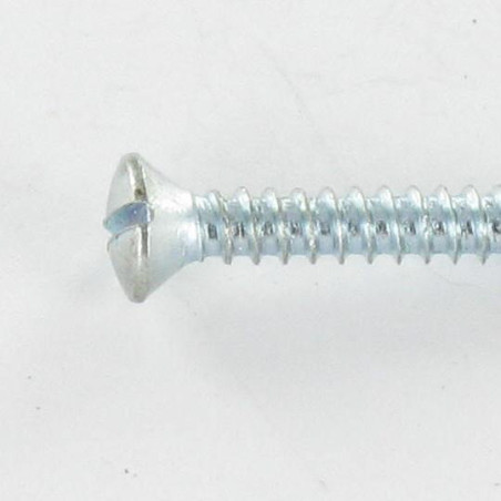 1 x Metaalplaatschroef gefreesde bolkop split 4.8X25 Wit verzinkt staal