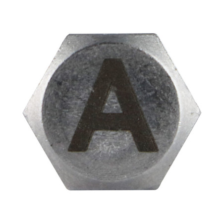 1 x Metalen schroeven zeskantboutenTH 8X35 A4 RVS met lettergravure "HEEFT"