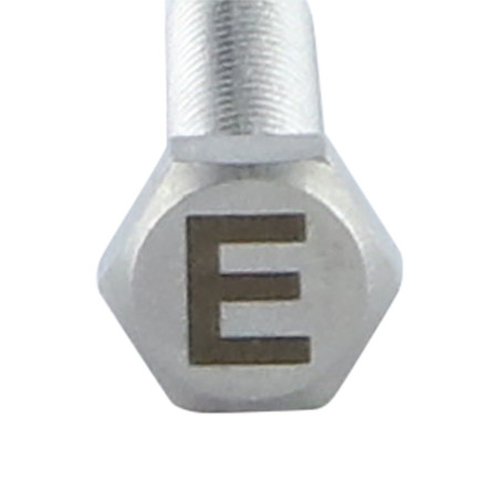 1 x Metalen schroeven zeskantboutenTH 8X35 A4 RVS met lettergravure "E"