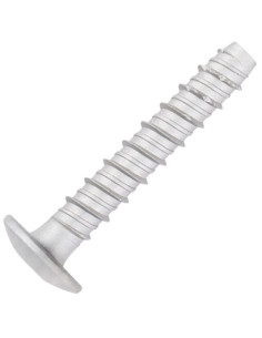 Betonschroeven kop bollig TORX TORX T30 6X60 Wit verzinkt...