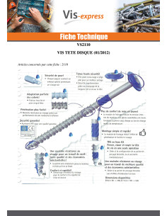 Agglo houtschroeven schijfkop TORX T40 10X220 Wit... 2