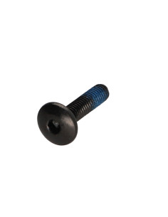 Schroeven Bolkop breed rond M6X25 sleutel van 4 Zwart...