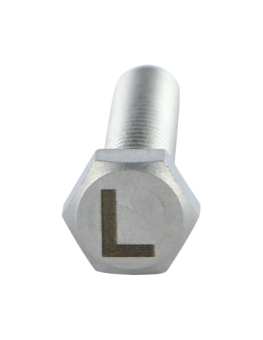 1 x Metalen schroeven zeskantboutenTH 8X35 A4...