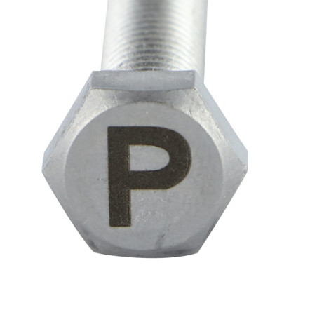 1 x Metalen schroeven zeskantboutenTH 8X35 A4 RVS met lettergravure "P"