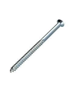 Houtschroeven gefreesde kop Pozi PZ8 6X100 Wit verzinkt... 2