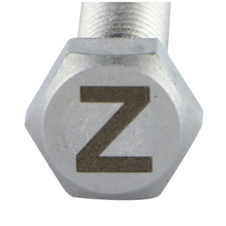 1 x Metalen schroeven zeskantboutenTH 8X35 A4 RVS met lettergravure "Z"
