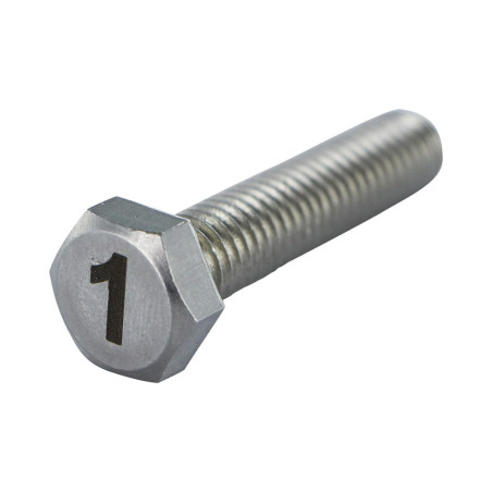 1 x Metalen schroeven zeskantboutenTH 8X35 A4 RVS Graveren FIGUUR 1