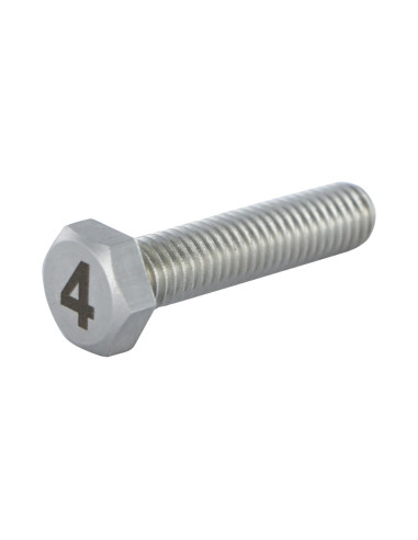 1 x Metalen schroeven zeskantboutenTH 8X35 A4...