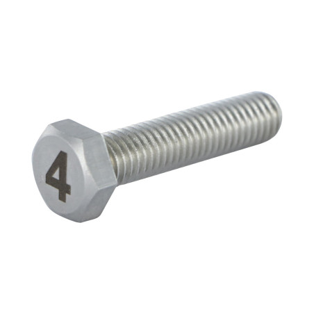 1 x Metalen schroeven zeskantboutenTH 8X35 A4 RVS Graveren FIGUUR 4