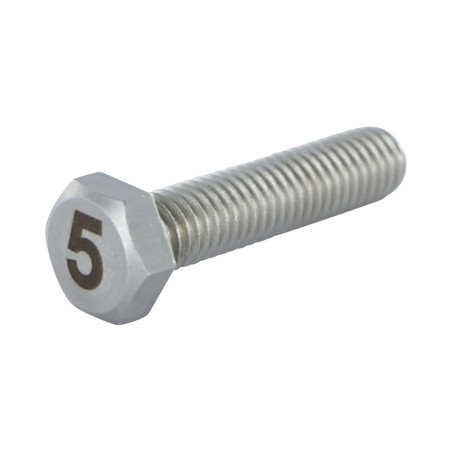 1 x Metalen schroeven zeskantboutenTH 8X35 A4 RVS Graveren FIGUUR 5