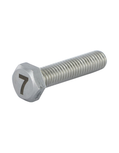 1 x Metalen schroeven zeskantboutenTH 8X35 A4...