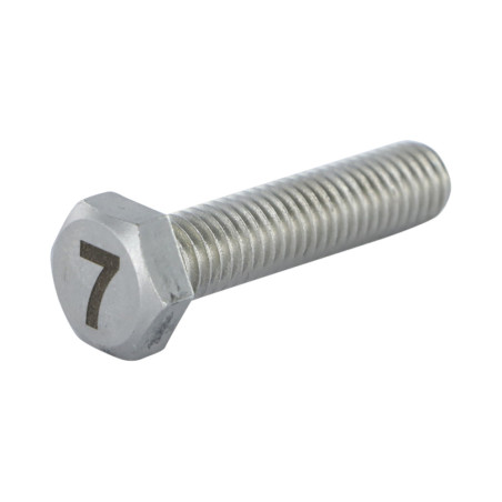 1 x Metalen schroeven zeskantboutenTH 8X35 A4 RVS Graveren FIGUUR 7