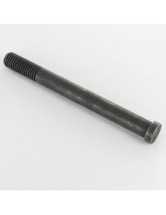 Metalen schroeven cilindrische kop ongesplitst M12X120...