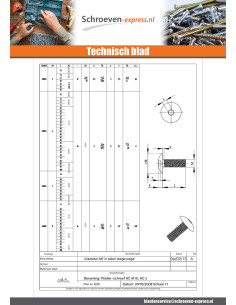 Schroeven Bolkop breed rond M6X50 sleutel van 4 Wit... 2