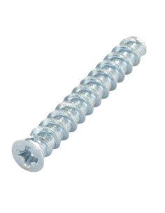 Euroschroef gefreesde kop Pozi 6X22 kopdiameter 7.5 Wit...