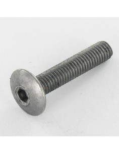 Schroeven Bolkop breed rond M6X75 sleutel van 4 Ruw staal