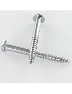 Houtschroeven Messing chroom ronde kop split 4X50