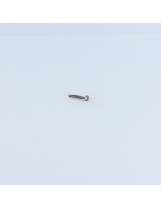 Metalen schroeven cilindrische kop split M2X8 Ruw staal...