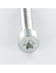 Zelftappende schroef cilindrische kop M5X25 TORX T25 Wit... 2