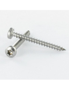 Agglo houtschroeven ronde kop 5X25 TORX T25 Wit verzinkt...