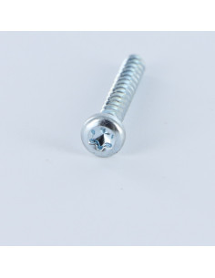 PVC-schroeven cilindrische kop TORX T20 4X30 Wit verzinkt... 2