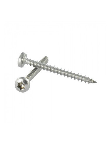 1 x Agglo houtschroeven ronde kop TORX T25...