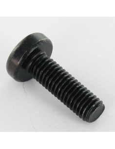 Metalen schroeven bolvormige kopschroef M4X8 TORX T20... 2