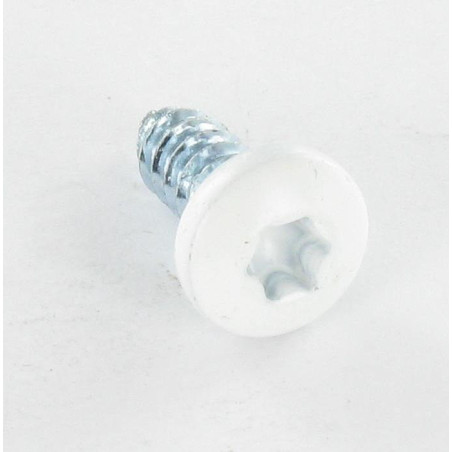 1 x Metaalplaatschroef cilindrische kop kartel 6.3X16 TORX T30 Wit verzinkt staal RAL9016 verkeerswit