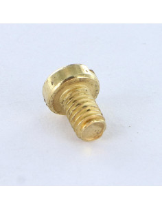 Metalen schroeven cilindrische kop split M4X6 Messing staal 2