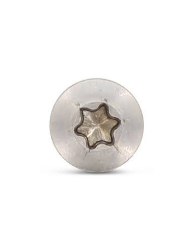 1 x Agglo houtschroeven gefreesde bolkop TORX...