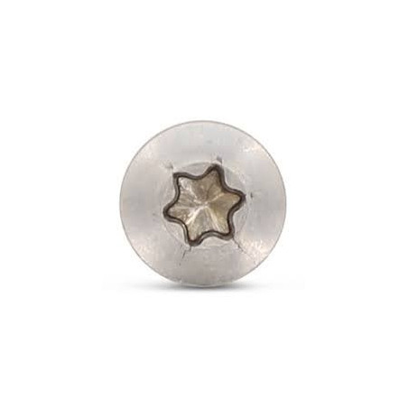1 x Agglo houtschroeven gefreesde bolkop TORX T25 5X60 bedraad op 36 A4 RVS