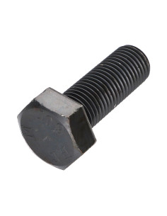Metalen schroeven zeskantkop TH M24X60 klasse 10.9 Ruw staal