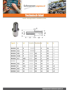 Blindklinkbout VERBLINDEND M8X12.5 EPP0.3-2.9 2