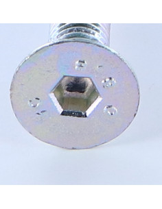 Metalen schroeven FHC verzonken kop met zeskant print... 2