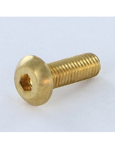 1 x Metalen schroeven Zeshoekig hol M5X16...