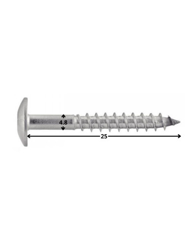 1 x Gevelschroef TORX T20 4.8X25 kopdiameter...