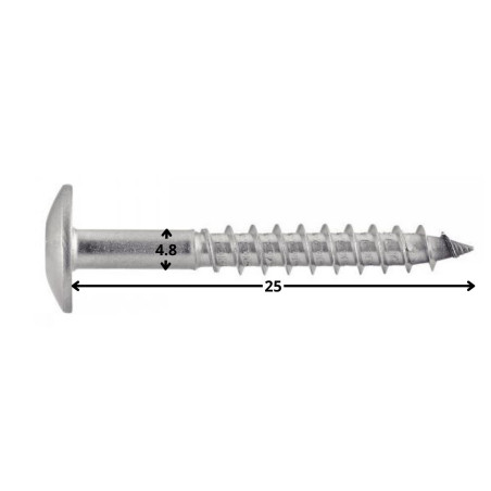 1 x Gevelschroef TORX T20 4.8X25 kopdiameter 12.3 RVS A2