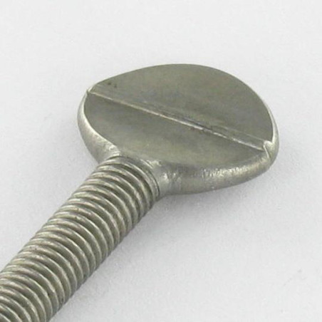 1 x Schroeven VIOOL M8X30 RVS A2