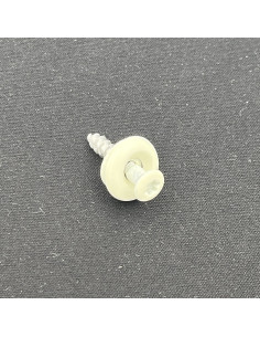 Nokschroef gefreesde bolkop TORX T20 RVS A2 RAL9010...