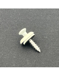 Nokschroef gefreesde bolkop TORX T20 RVS A2 RAL9010... 2