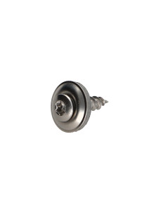 Nokschroef gefreesde bolkop TORX T20 RVS A2 4,5X20...