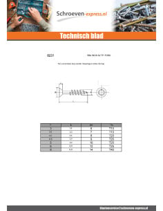 Agglo houtschroeven RVS A2 gefreesde kop 4,5X40 volledige... 2