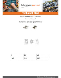 Moer hamer 9.9X19.5 M8 RVS A2 2