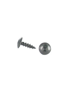 Schroeven scharnier 6X20 volledige draad TORX T30 RVS A2...