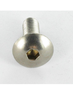 Metalen schroeven Bolkop breed rond sleutel van 4 M6X30 RVS 2