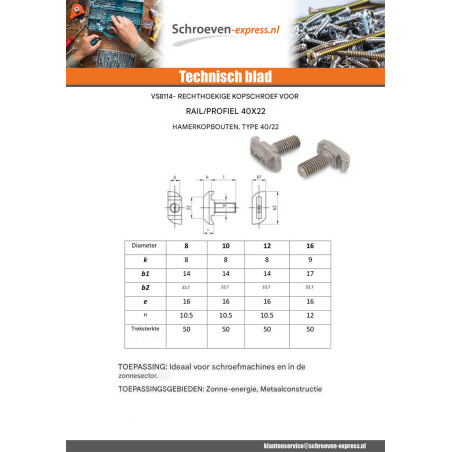 1 x Metalen schroeven rechthoekige kop 14X33.7X10.5 M10X25 T40/22 A4 RVS
