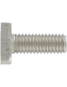 Metalen schroeven hamerkop 13X31X6 M12X60 A4 RVS voor...