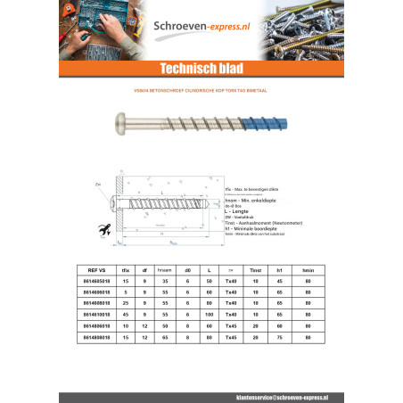 1 x Betonschroeven cilindrische kop TORX T40 6X50 Bimetaal