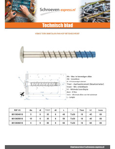 Betonschroeven kop bollig TORX TORX T30 6X50 Bimetaal 2
