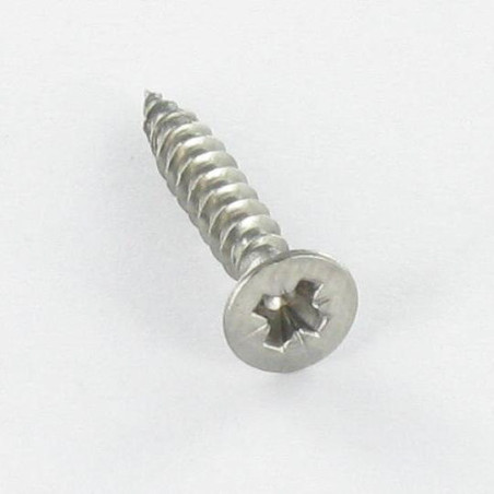 1 x Houtschroeven RVS A2 gefreesde kop Pozi PZ6 2,5X16 microschroeven